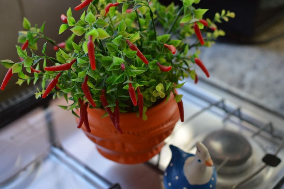 Overhead shot of a pot of chili simmering on the stove with a wooden spoon